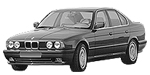 BMW E34 P2582 Fault Code